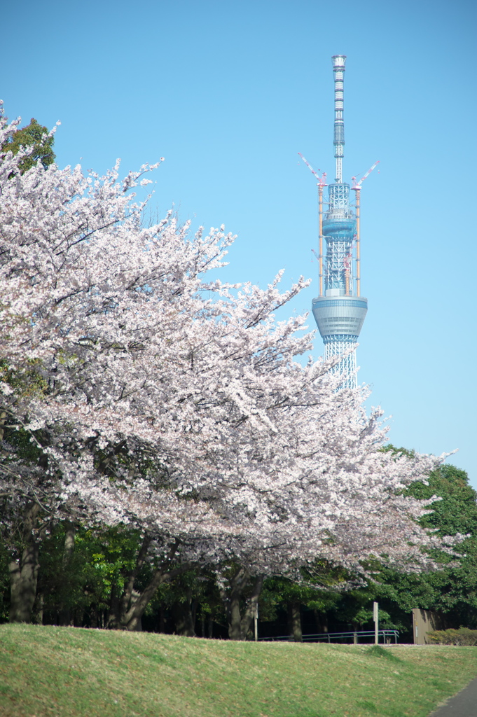 東京スカイツリー１２１