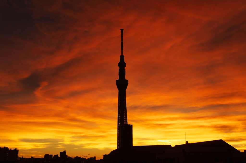 燃えるような空