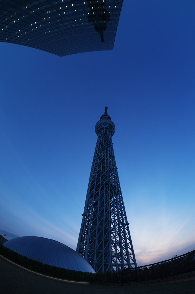 東京スカイツリー０５５