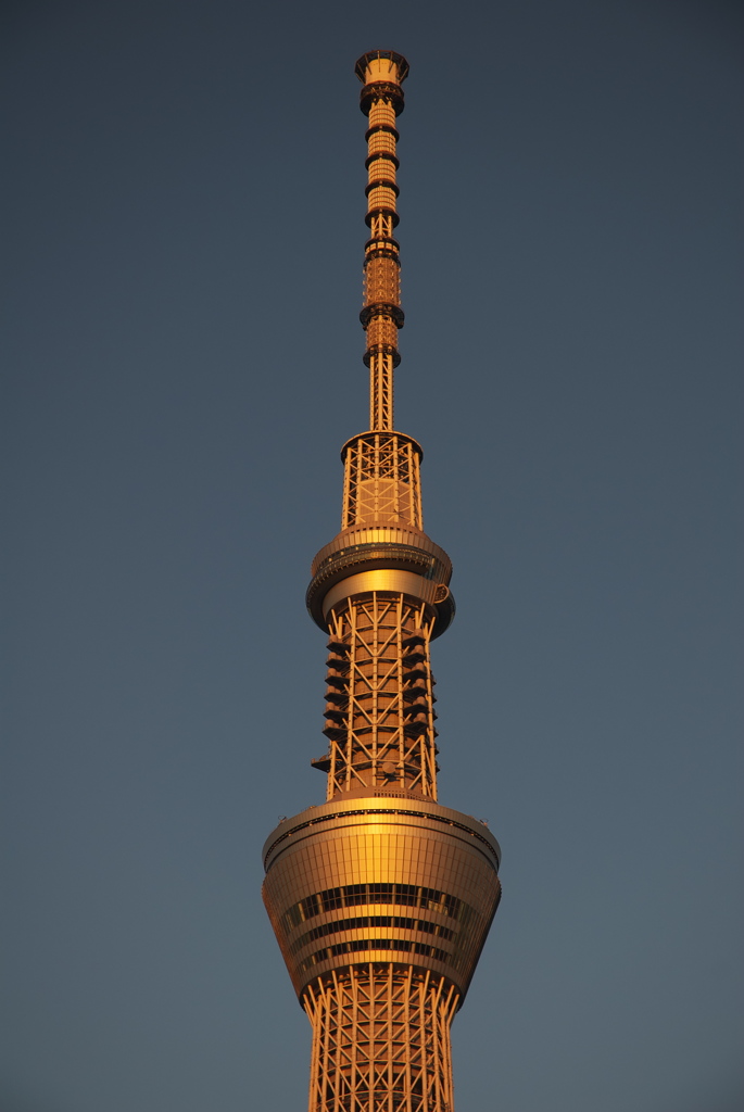 TOKYO SKYTREE