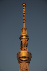 TOKYO SKYTREE
