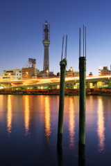 スカイツリー 回顧録_３７