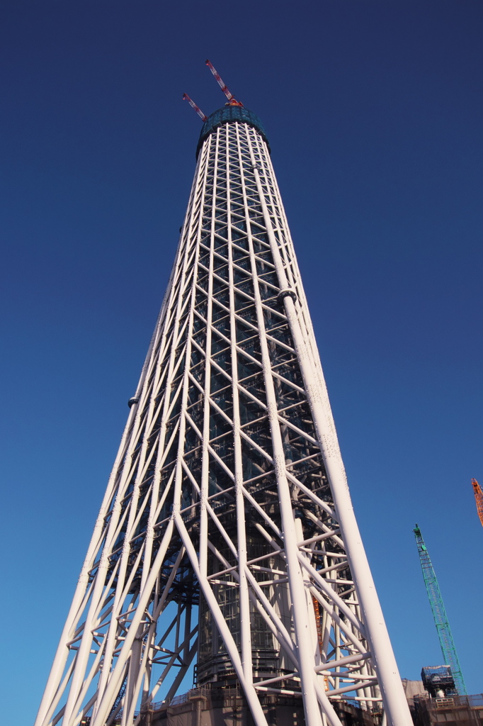 スカイツリー 回顧録_１３１