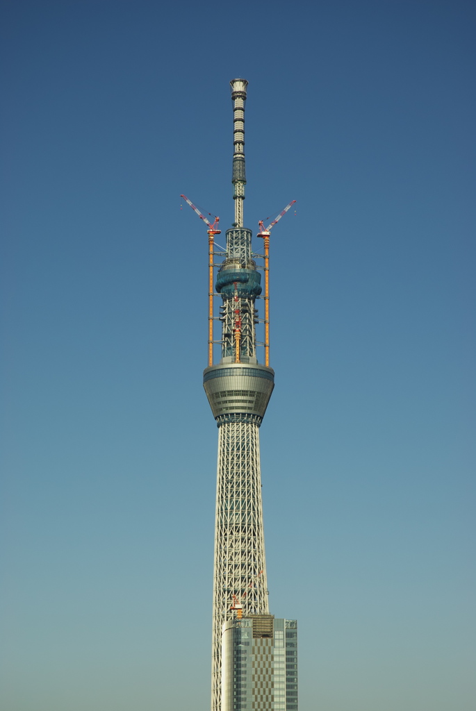 スカイツリー 回顧録_８４