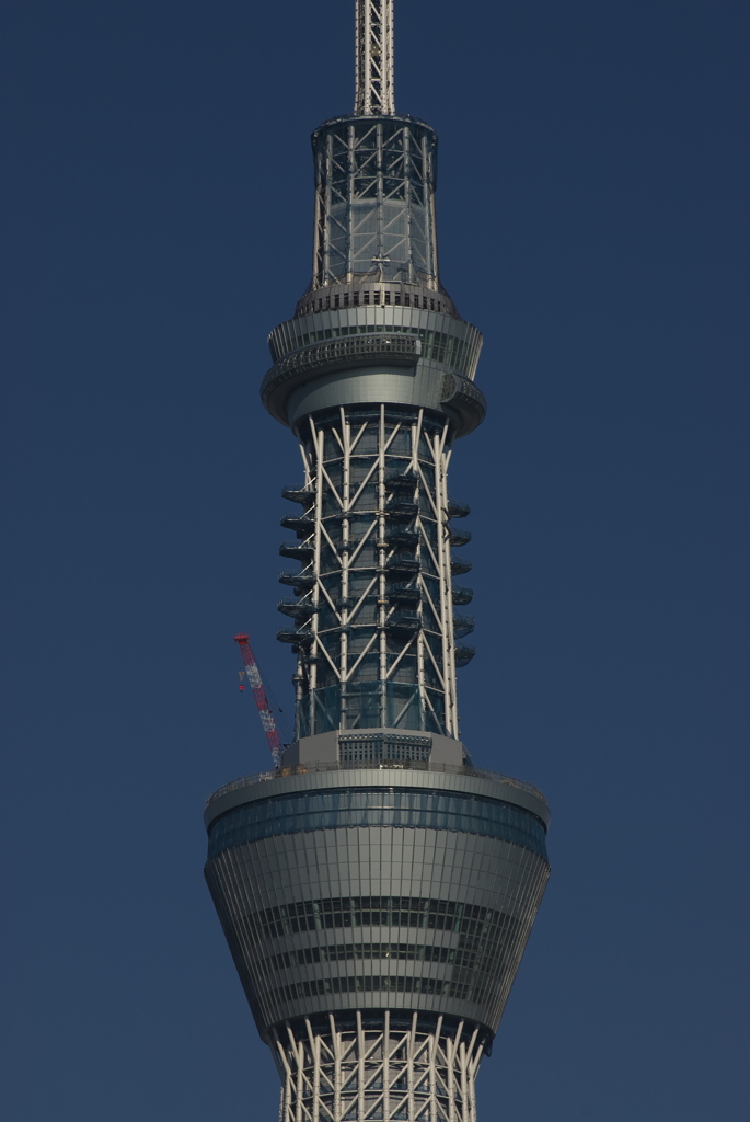 東京スカイツリー１１５