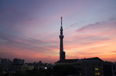 TOKYO SKYTREE