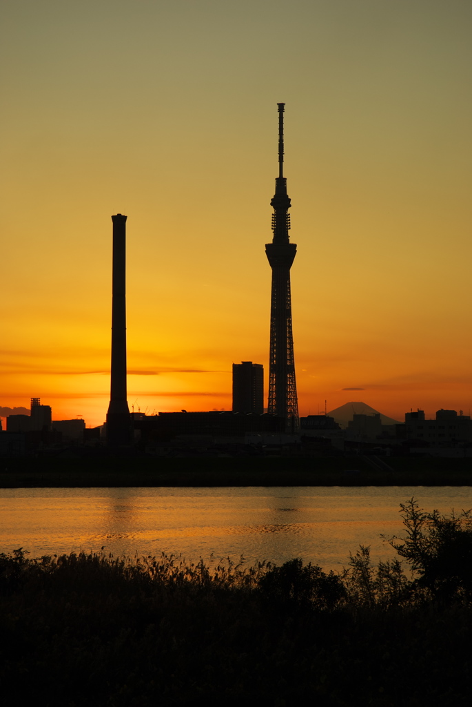 スカイツリー 回顧録_２８６