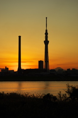 スカイツリー 回顧録_２８６