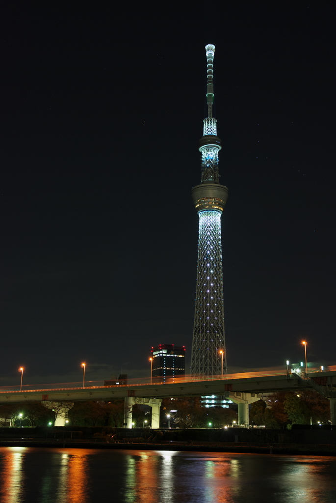 東京スカイツリー１１３
