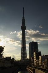 TOKYO SKYTREE