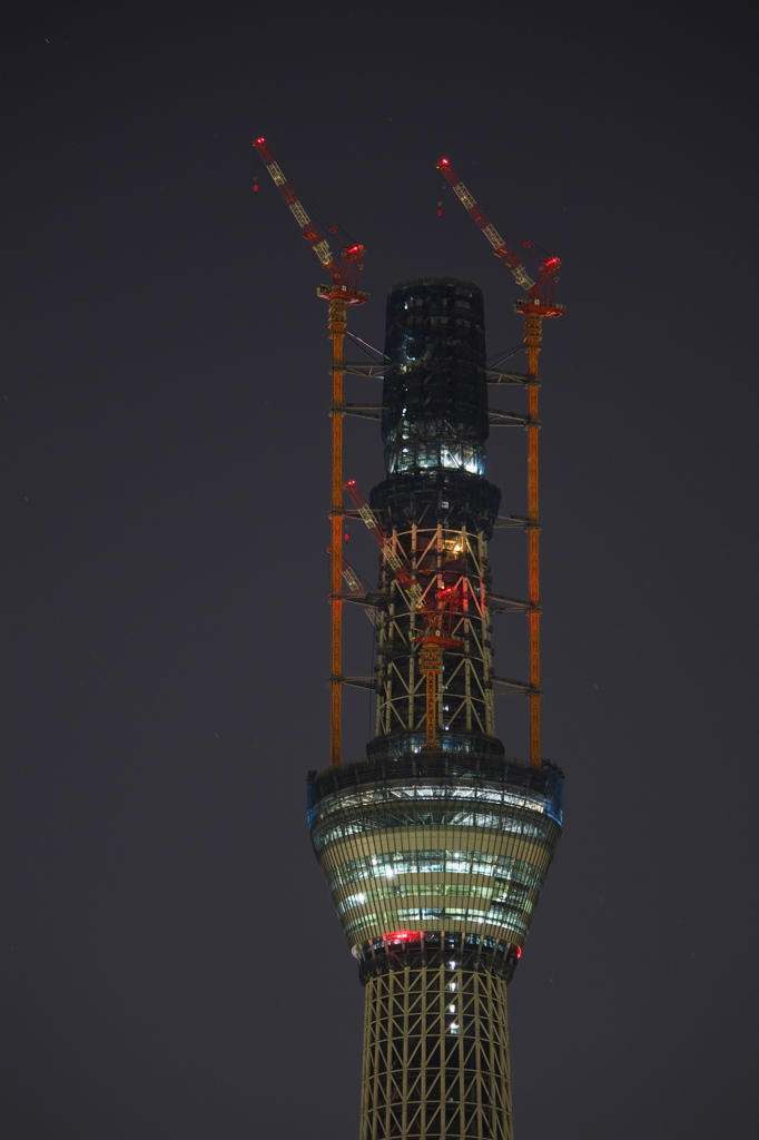 スカイツリー 回顧録_３９