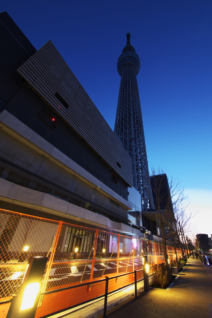 TOKYO SKYTREE
