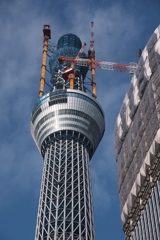 東京スカイツリー２６０