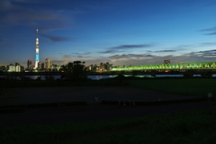 東京スカイツリー０１９