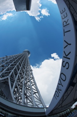 TOKYO SKYTREE
