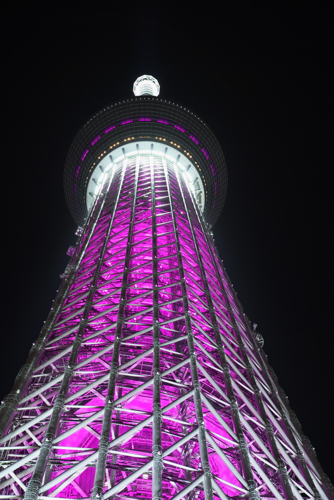 ピンクリボン_３