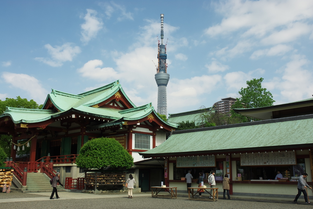 スカイツリー 回顧録_１１５