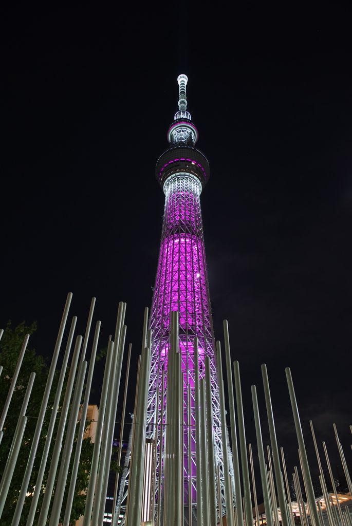 ピンクリボン_５