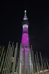 ピンクリボン_５