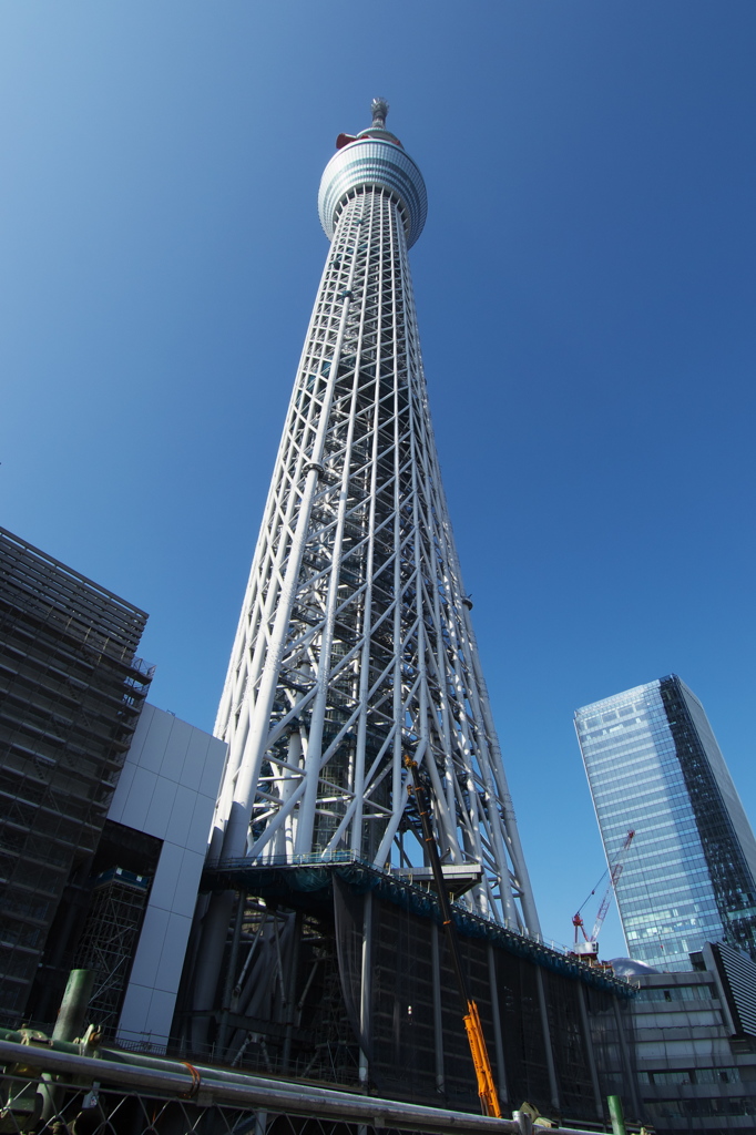スカイツリー 回顧録_１９８