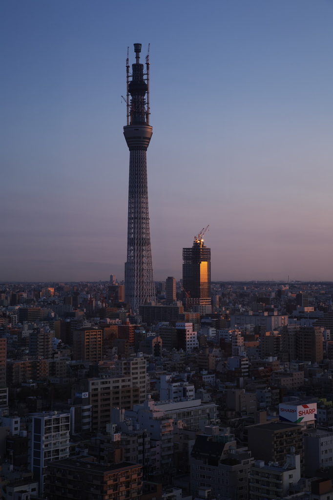 スカイツリー 回顧録_４４