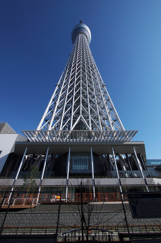 スカイツリー 回顧録_２３６