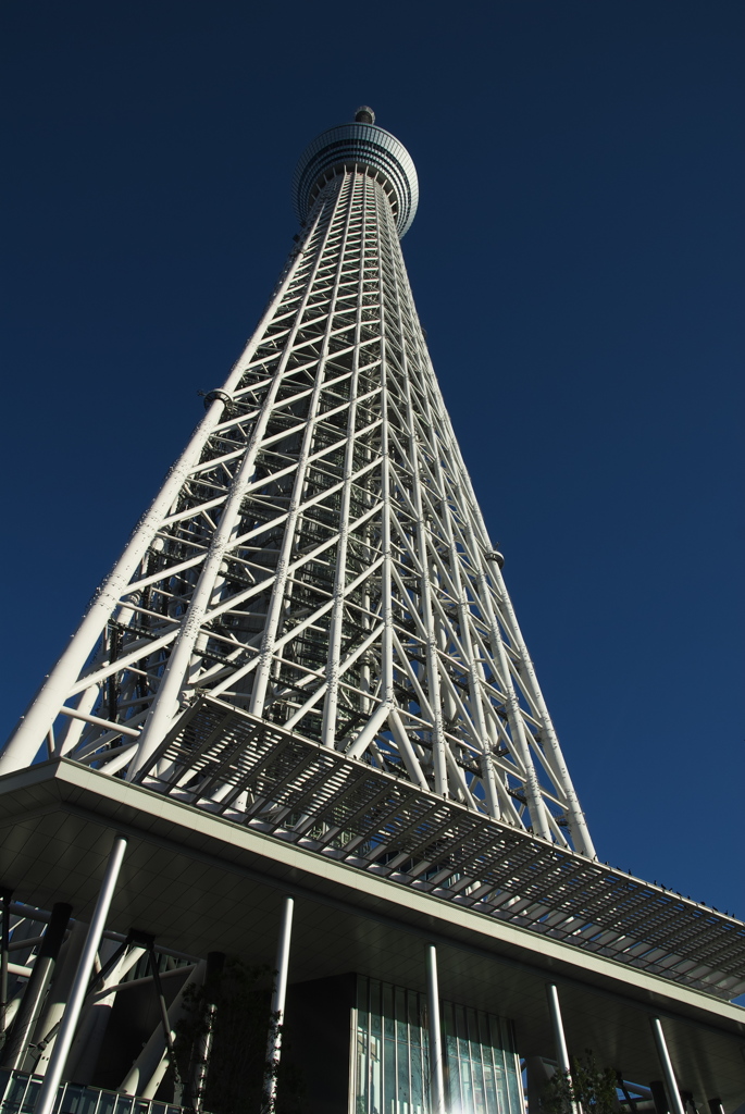 TOKYO SKYTREE
