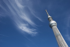 スカイツリー 回顧録_２６９