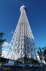 TOKYO SKYTREE