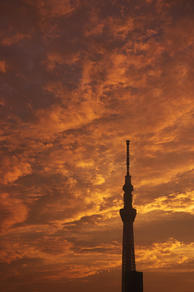 梅雨の夕焼け１