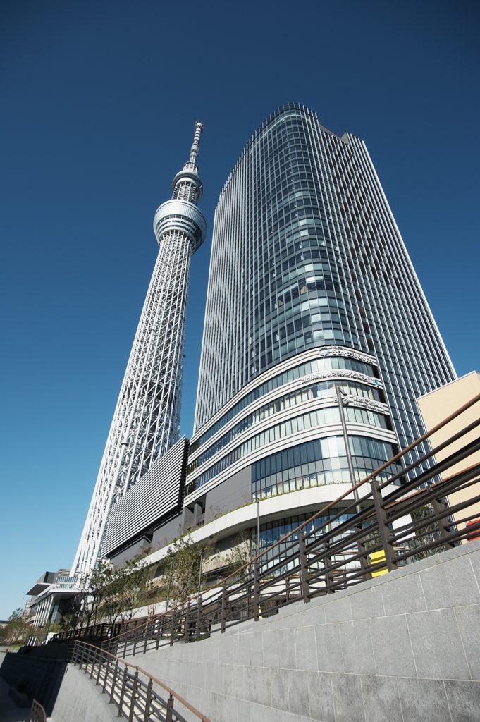 TOKYO SKYTREE