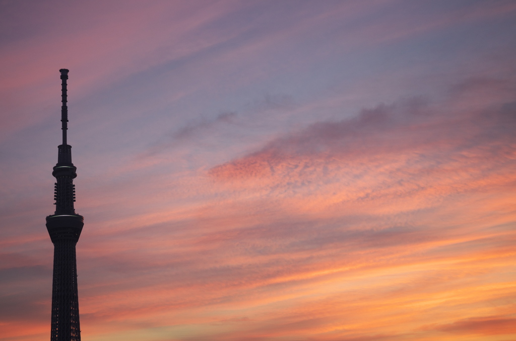 TOKYO SKYTREE