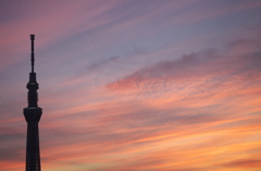 TOKYO SKYTREE