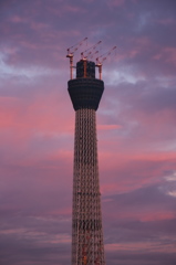 スカイツリー 回顧録_１４４