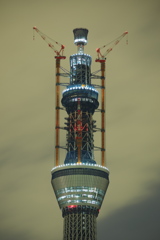 スカイツリー 回顧録_２