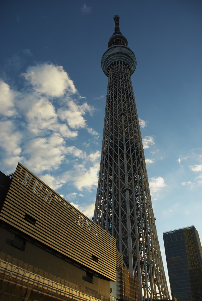 東京スカイツリー０５９