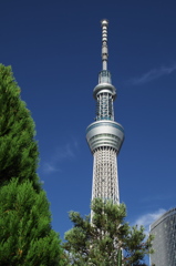 スカイツリー 回顧録_２１８