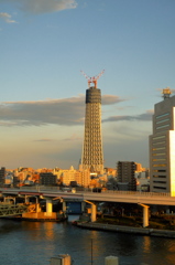 スカイツリー 回顧録_１３０