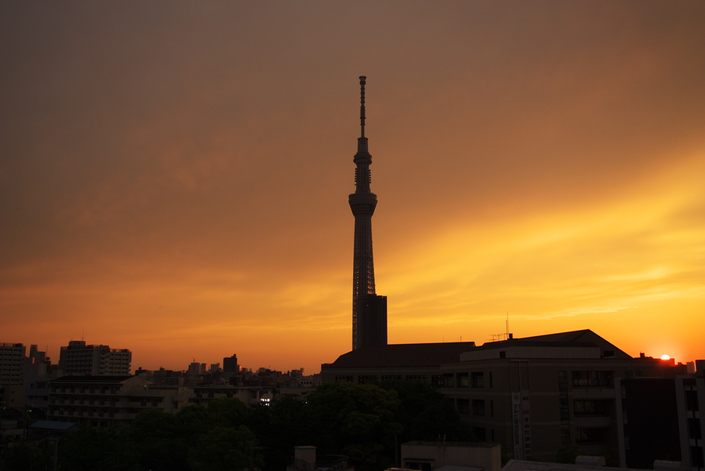 TOKYO SKYTREE