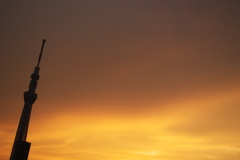 TOKYO SKYTREE