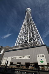 東京スカイツリー０１６