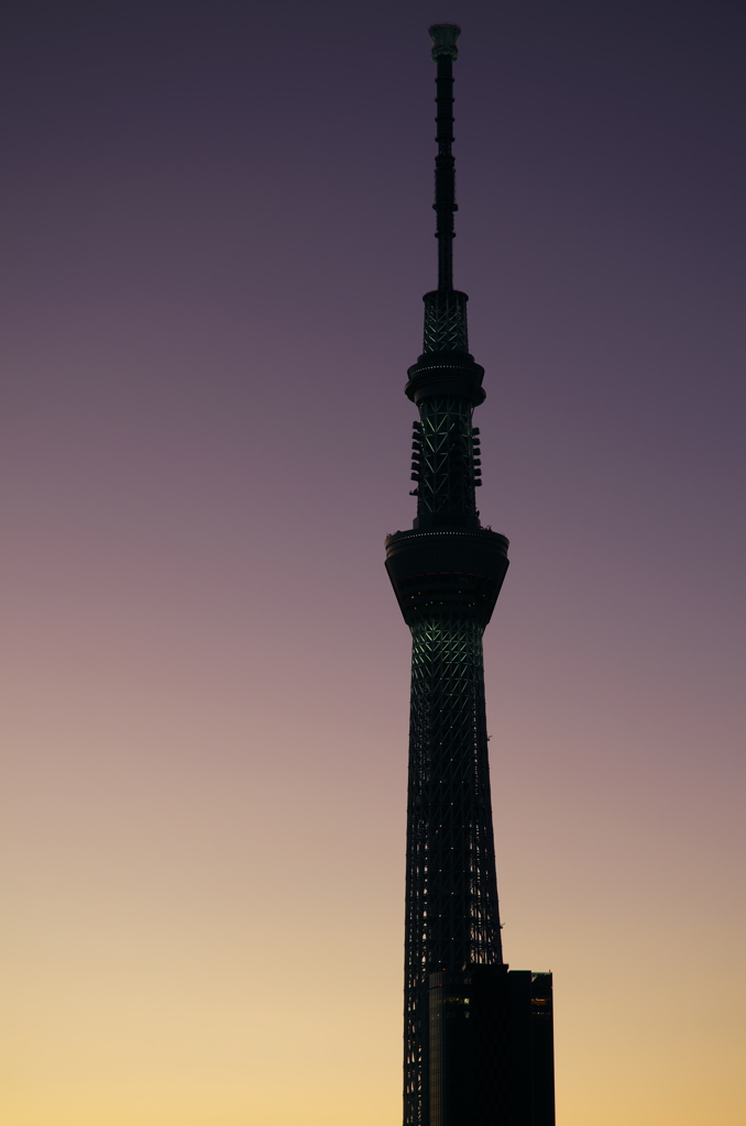 TOKYO SKYTREE