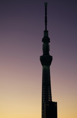 TOKYO SKYTREE