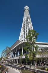 Tokyo Skytree
