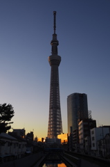 夕暮れのスカイツリー