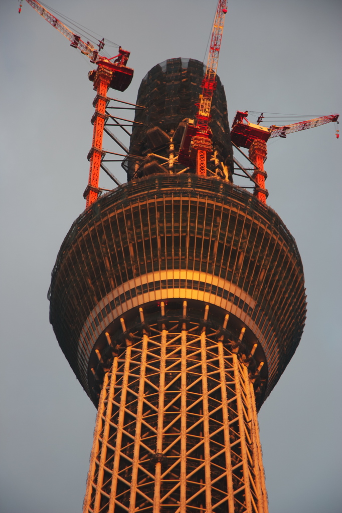 東京スカイツリー１８３