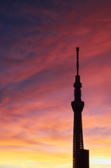 夕暮れのシルエット