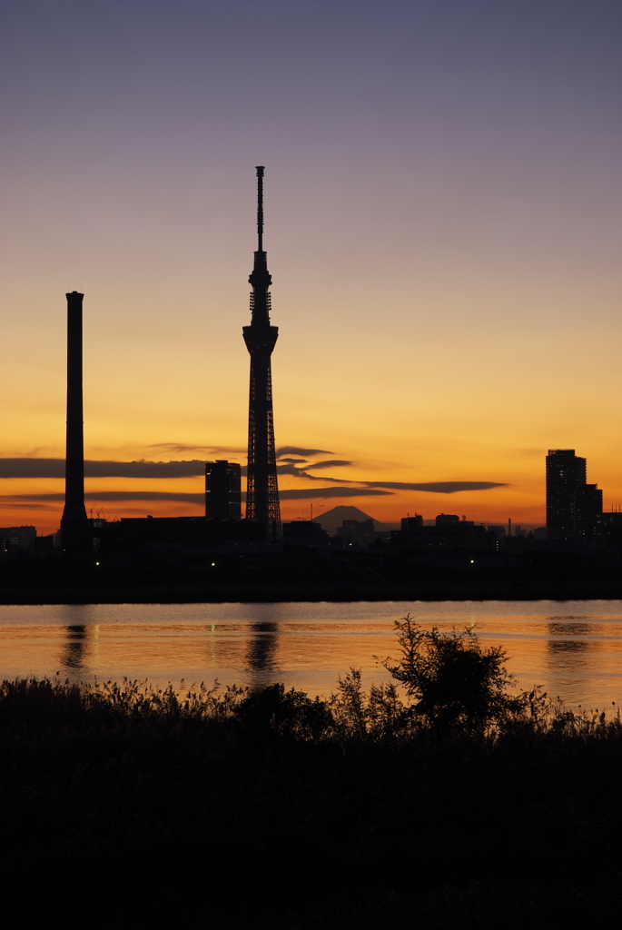 スカイツリー 回顧録_２２５