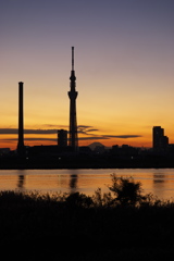 スカイツリー 回顧録_２２５