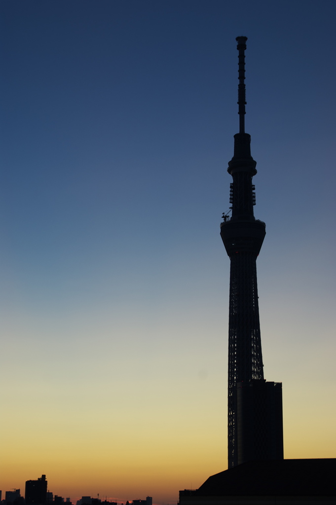 スカイツリー 回顧録_２７８